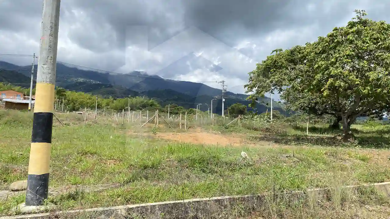 Portales de san isidro